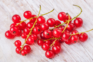 Red Currant Berries