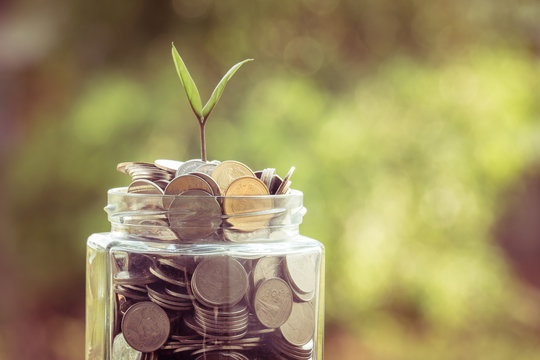 plant growing out of coins