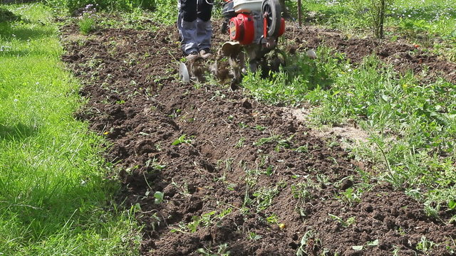 jardinier au travail