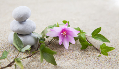 Fototapeta na wymiar pierre massage zen et fleur repos