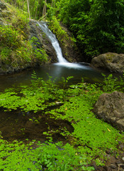 Fototapeta premium Gran Canaria, Azuaje