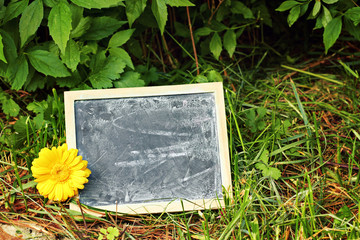 greeting card background for your text - blackboard