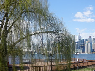 Skyline de Toronto