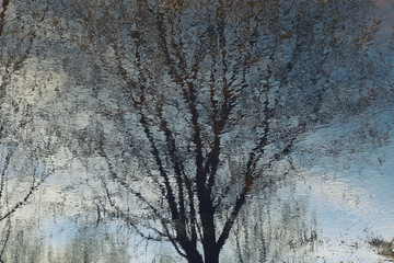 background concept Spring buds of green trees