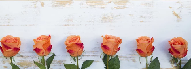 Papier Peint photo Lavable Roses roses oranges sur fond de bois rustique blanc