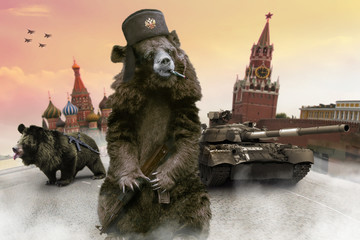 Russian bears with the Kalashnikov guns on the Red Square.