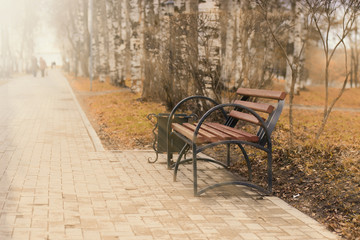 Fototapeta na wymiar bench in the park the sun's rays