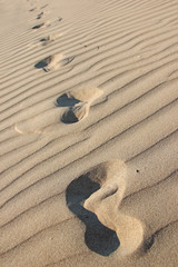 Fototapeta na wymiar Footprints in a desert