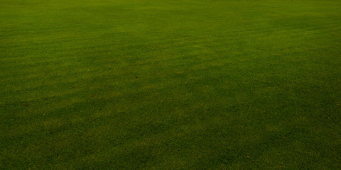 Green Golf course,texture.