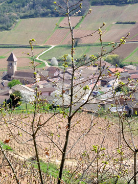 Bourgogne