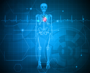 Human skeleton with heart