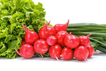 Fresh spring vegetables: radish, scallion and lettuce
