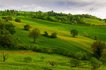 Fototapeta premium Paesaggio collinare rurale nella regione Marche