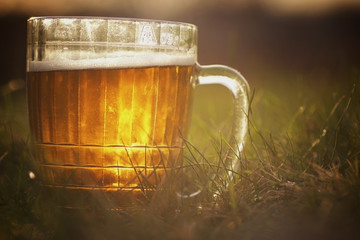 beer mug