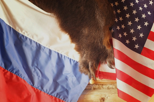 US And Russian Flags On The Bearskin Rug