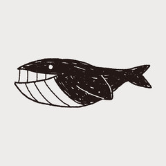 Whale doodle
