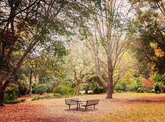 Obraz na płótnie Canvas Lonely picnic table in beautiful garden
