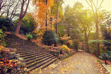 Autumn landscape with long staircase and footpath