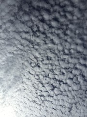 Altocumulus Floccus Cloulds are all over