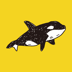 Killer Whale doodle