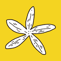 Starfish doodle