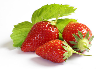 fraises 20052015