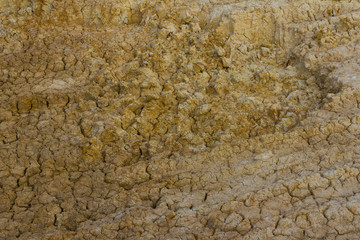 Cracked soil surface