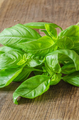 Green ripe organic basil on wooden background