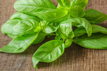 Green ripe organic basil on wooden background