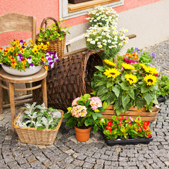 flowers in front of florist's shop