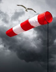 Poster de jardin Orage Girouette dans une tempête