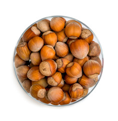 hazelnuts isolated 