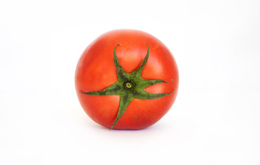 tomatos isolated in white