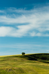 murgia matera puglia