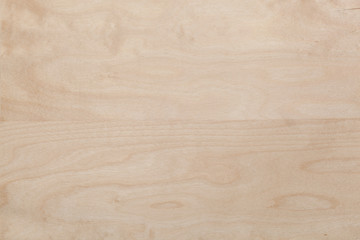 Obraz premium Birch wood texture