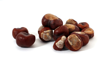 Каштаны на белом фоне