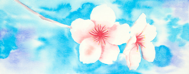 Fototapeta na wymiar watercolor picture of almond blossom