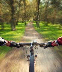 Fototapeta na wymiar Ride in summer forest. Sport and active life concept