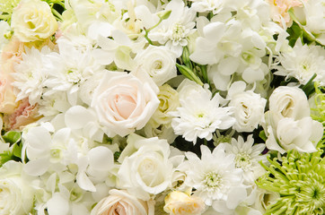 Beautiful flowers background