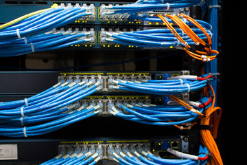 Network cable and switch