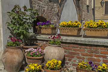 Frühlingsgrüsse vor der Haustüre