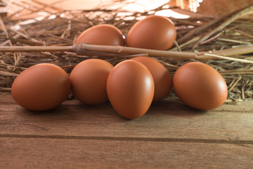 Eggs