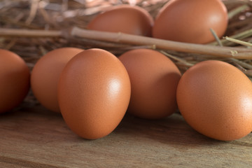 Eggs