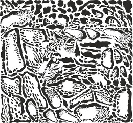 Background with Clouded leopard skins and head