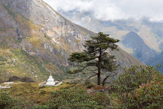 Buddhist stupa and tree.