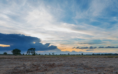 field  and Sunset Sky landscape