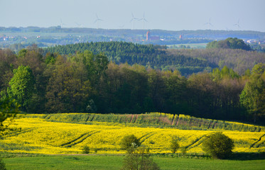 Colorful spring landscape