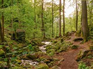 Waldweg