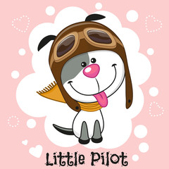 Little Pilot