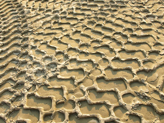Tire tracks on the sand